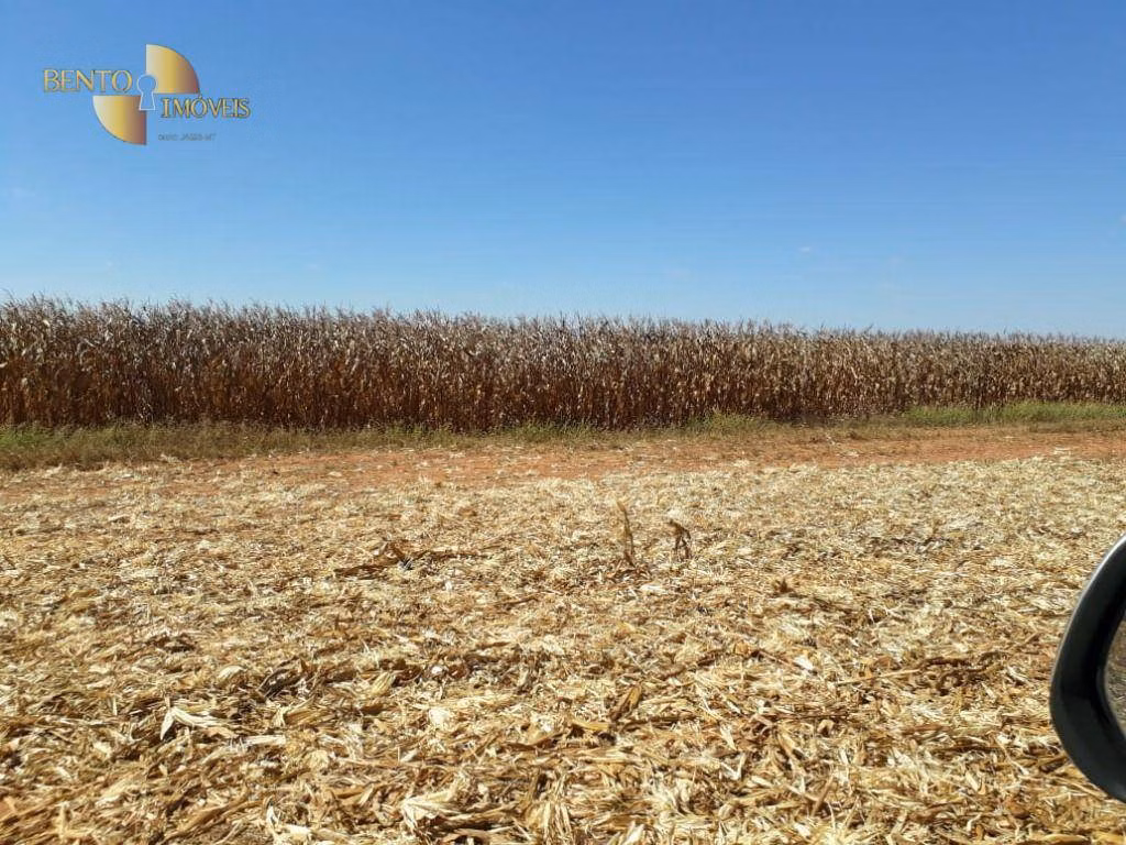 Fazenda de 2.500 ha em Nova Maringá, MT