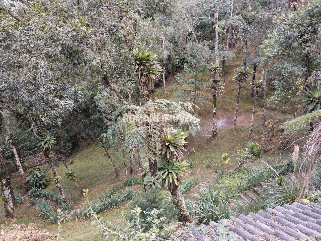 House of 3 acres in Campos do Jordão, SP, Brazil