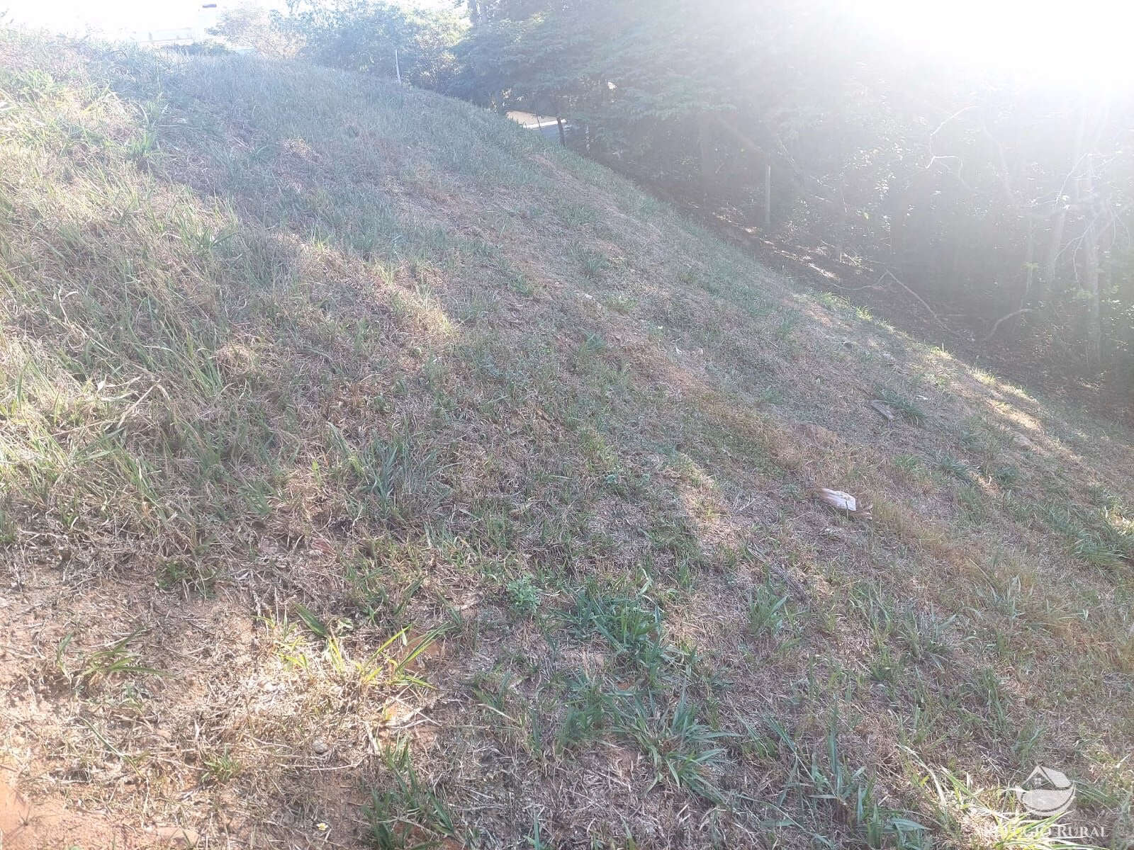 Plot of 1,463 m² in São José dos Campos, SP, Brazil