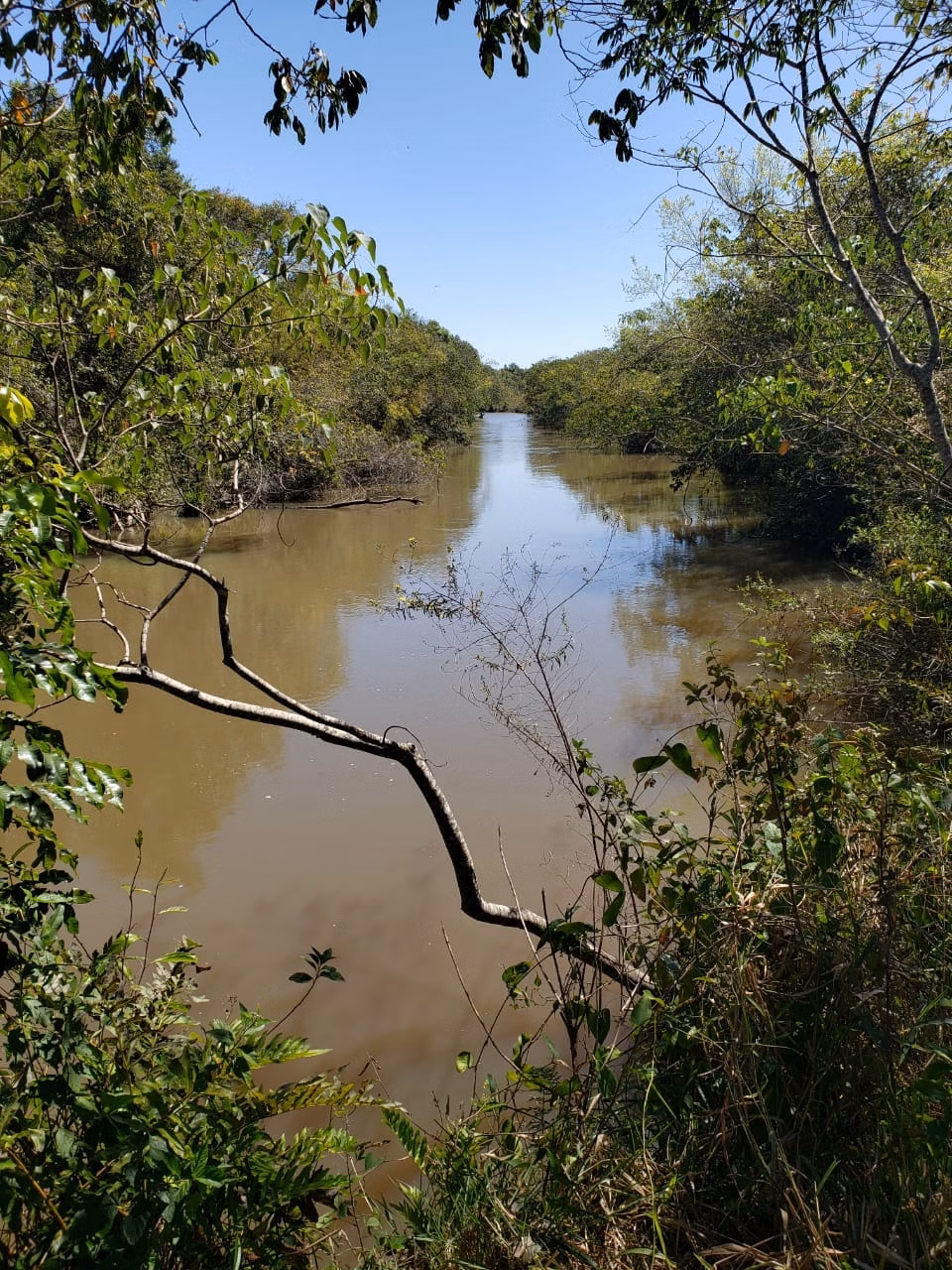 Fazenda de 340 ha em Martinópolis, SP