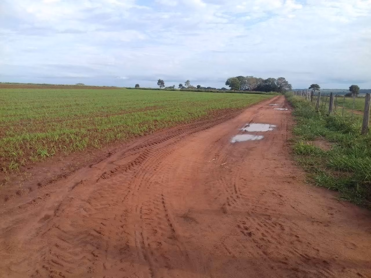 Fazenda de 340 ha em Martinópolis, SP