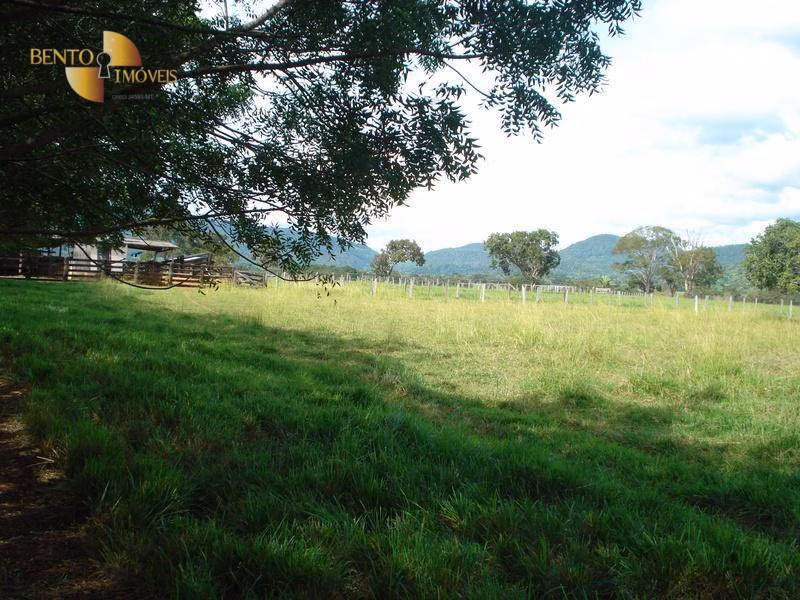 Fazenda de 700 ha em Rondonópolis, MT