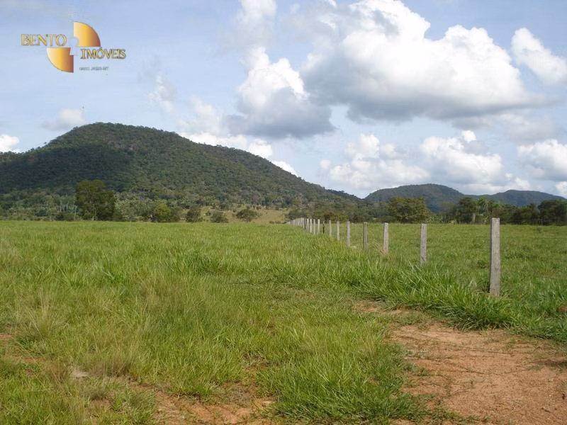 Fazenda de 700 ha em Rondonópolis, MT