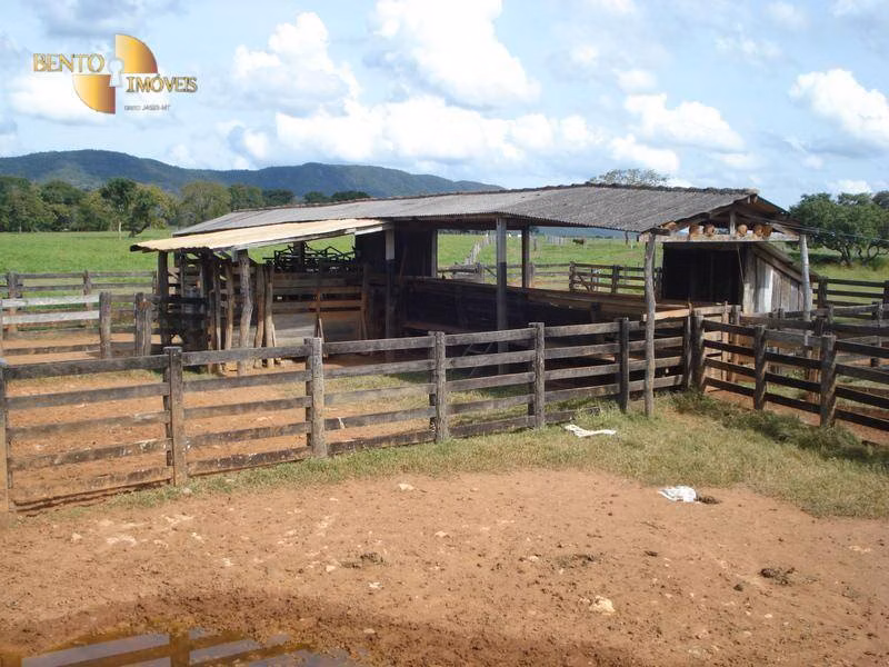 Fazenda de 700 ha em Rondonópolis, MT