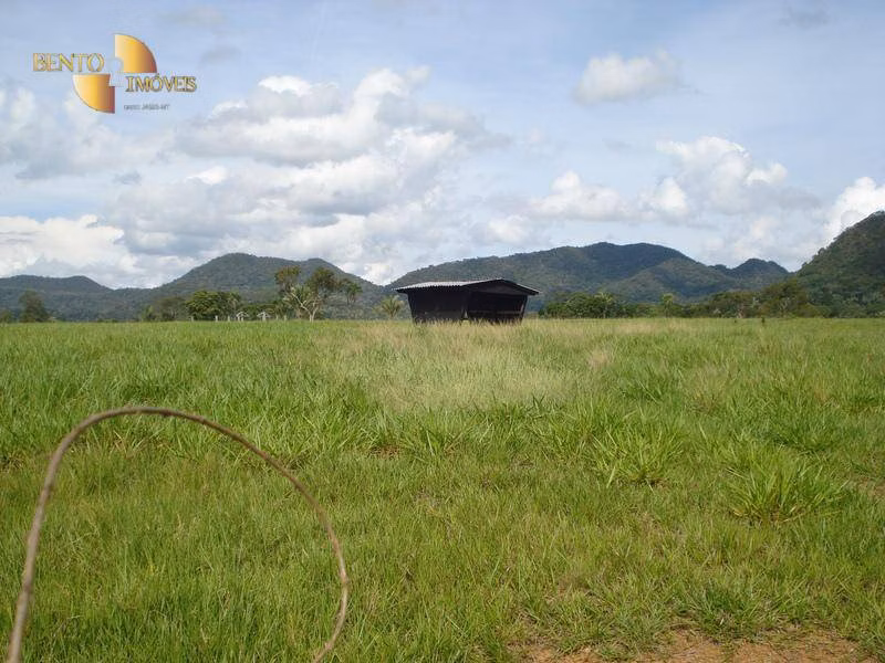 Fazenda de 700 ha em Rondonópolis, MT