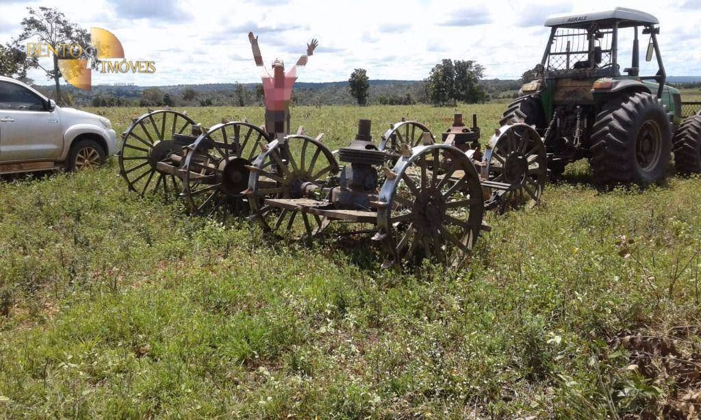 Fazenda de 1.158 ha em Novo São Joaquim, MT