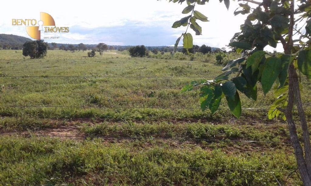 Fazenda de 1.158 ha em Novo São Joaquim, MT