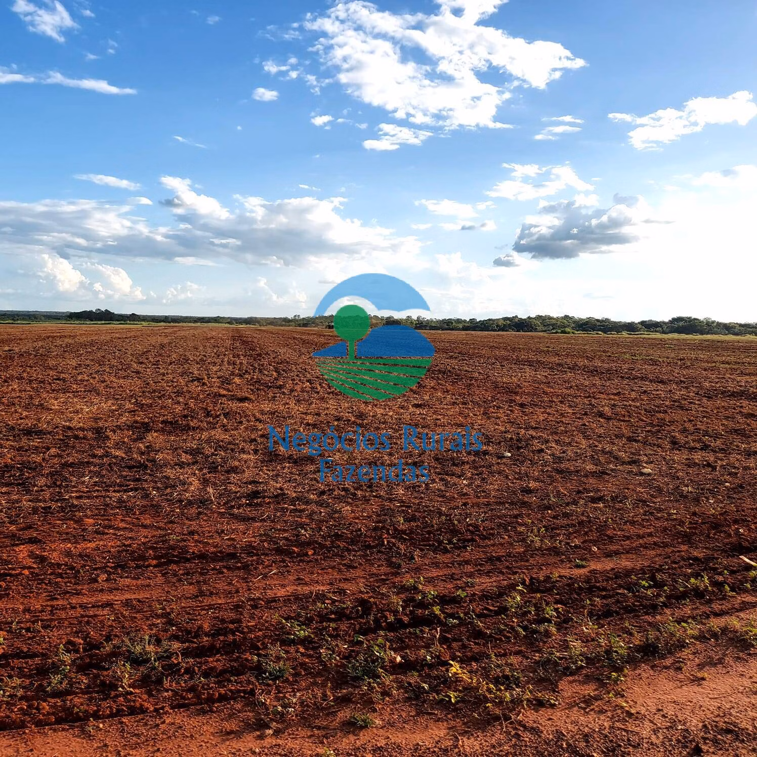 Fazenda de 1.597 ha em Silvanópolis, TO