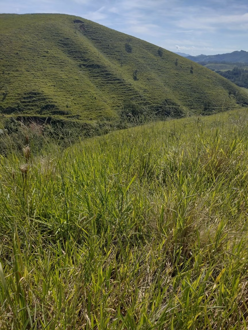 Plot of 10 acres in São José dos Campos, SP, Brazil