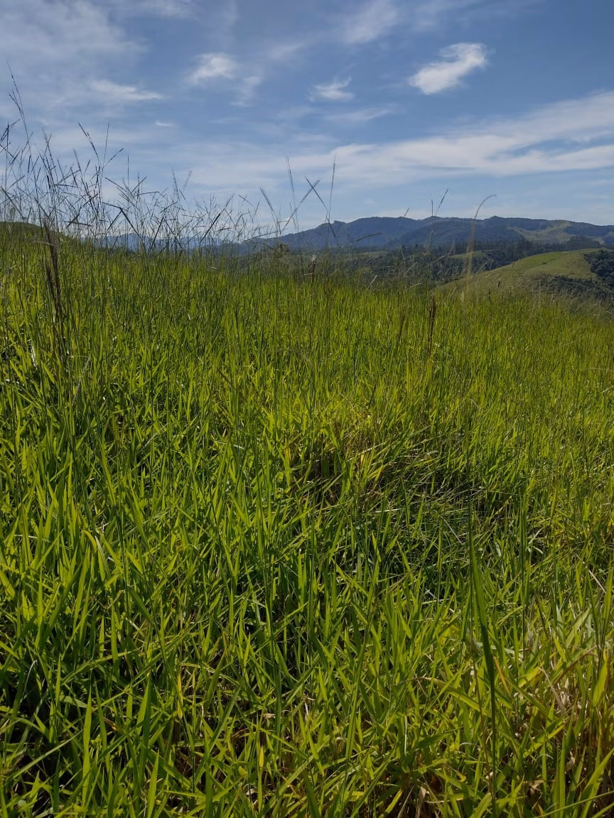 Plot of 10 acres in São José dos Campos, SP, Brazil