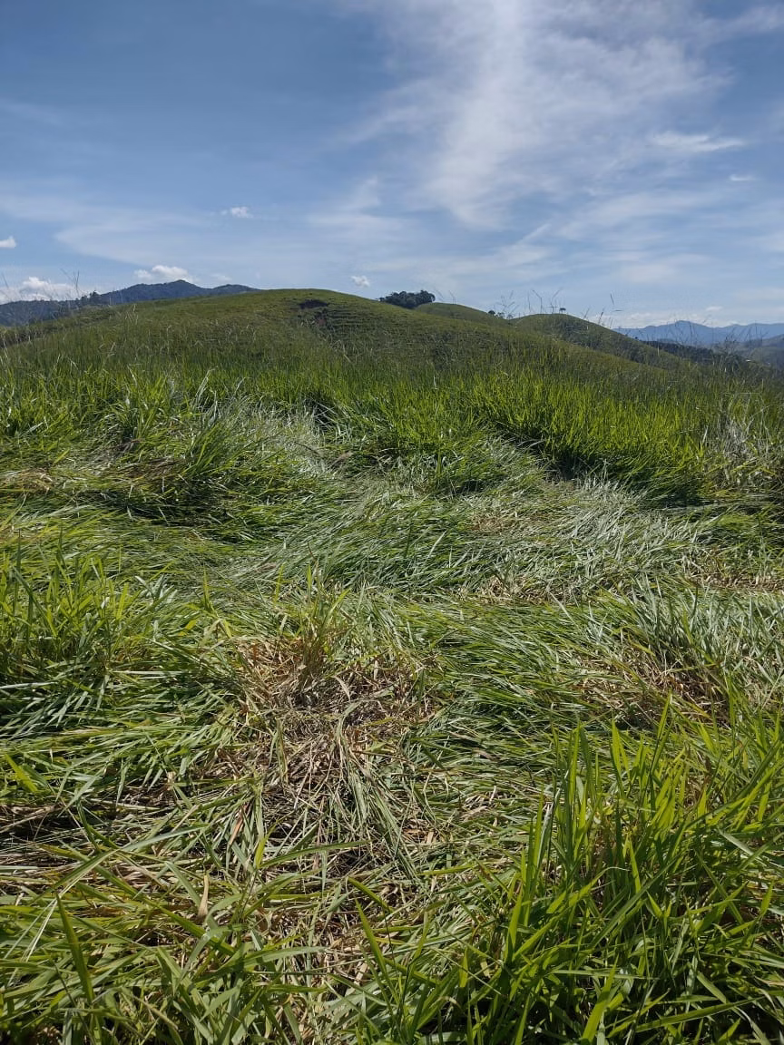 Plot of 10 acres in São José dos Campos, SP, Brazil