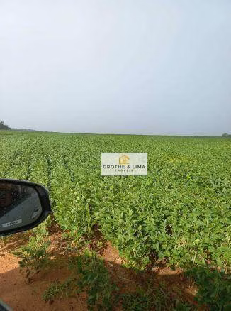 Fazenda de 29.000 ha em Balsas, MA