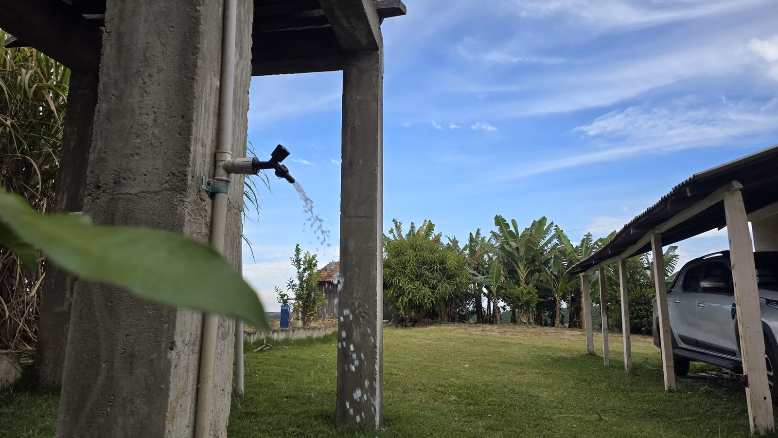 Sítio de 15 ha em Pinhalão, PR