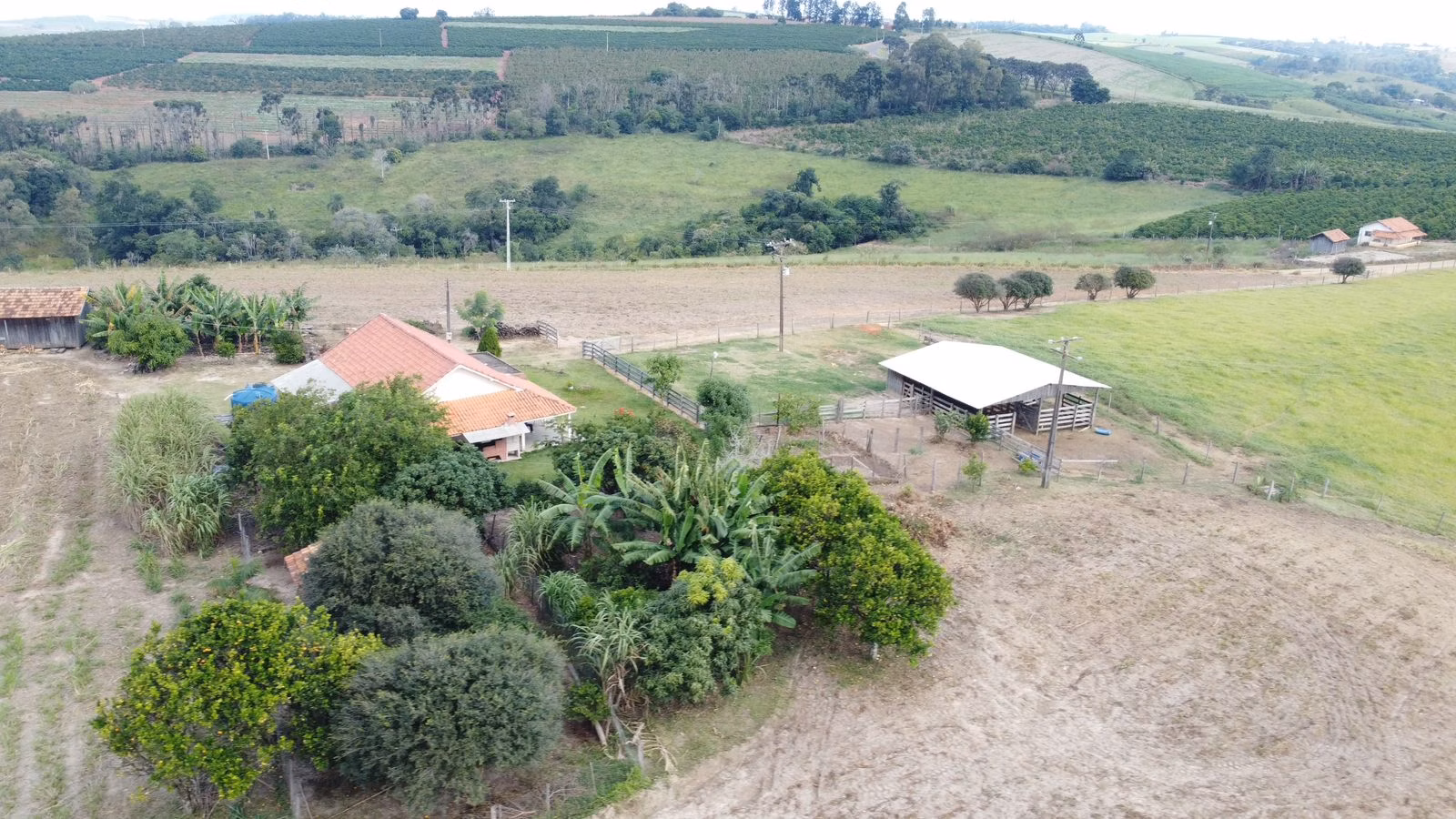 Sítio de 15 ha em Pinhalão, PR