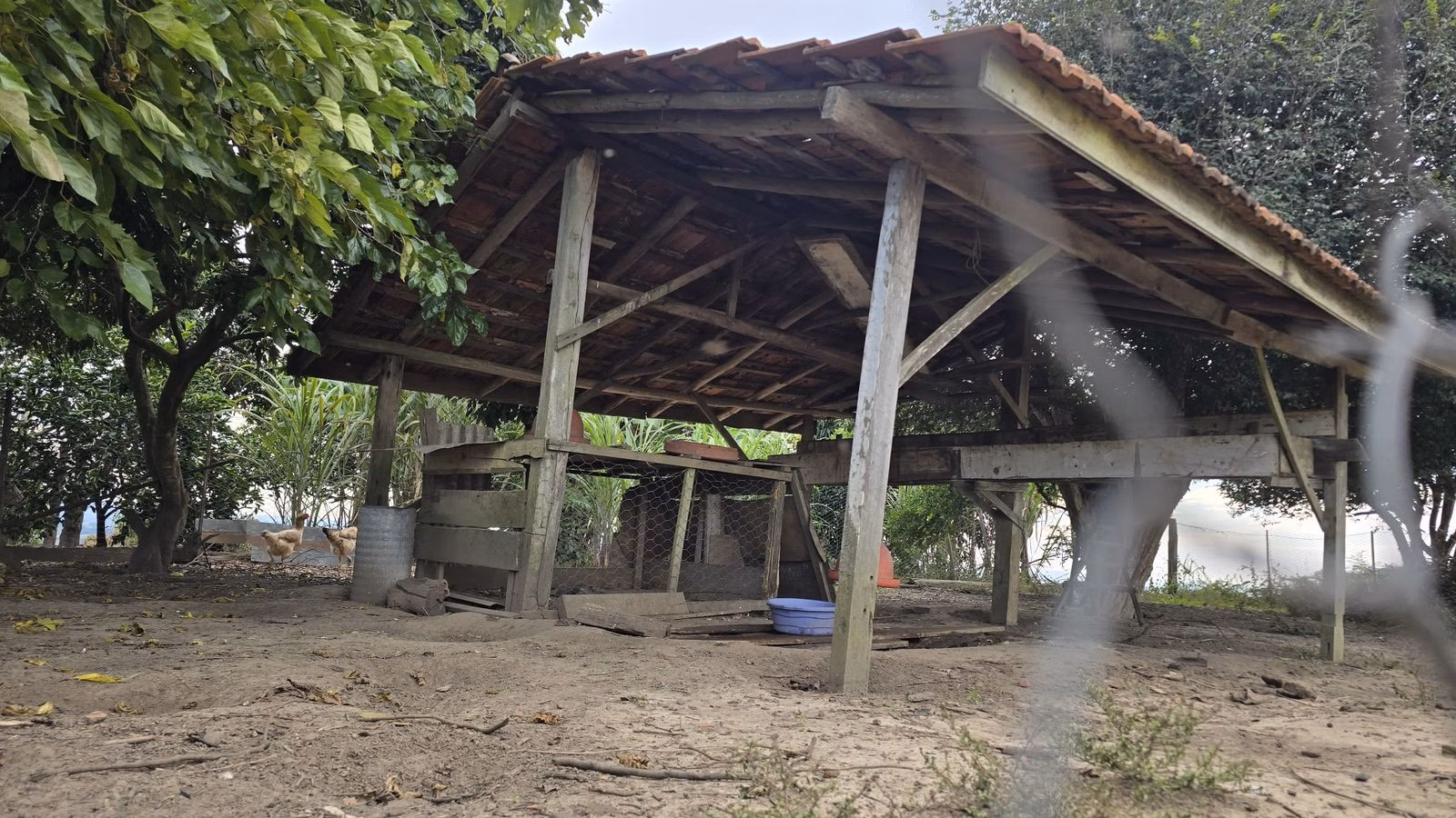 Sítio de 15 ha em Pinhalão, PR