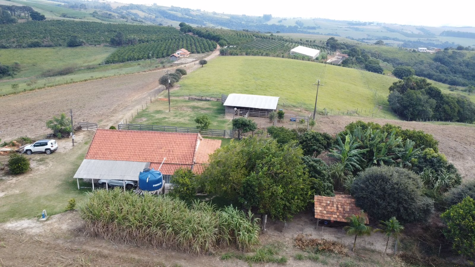 Sítio de 15 ha em Pinhalão, PR
