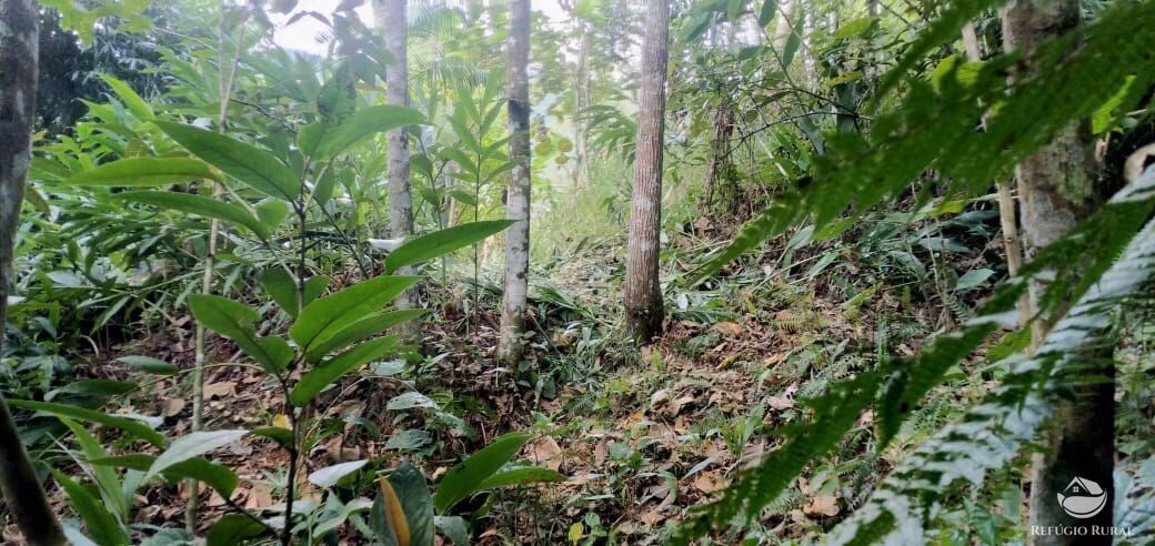 Chácara de 1.400 m² em São José dos Campos, SP