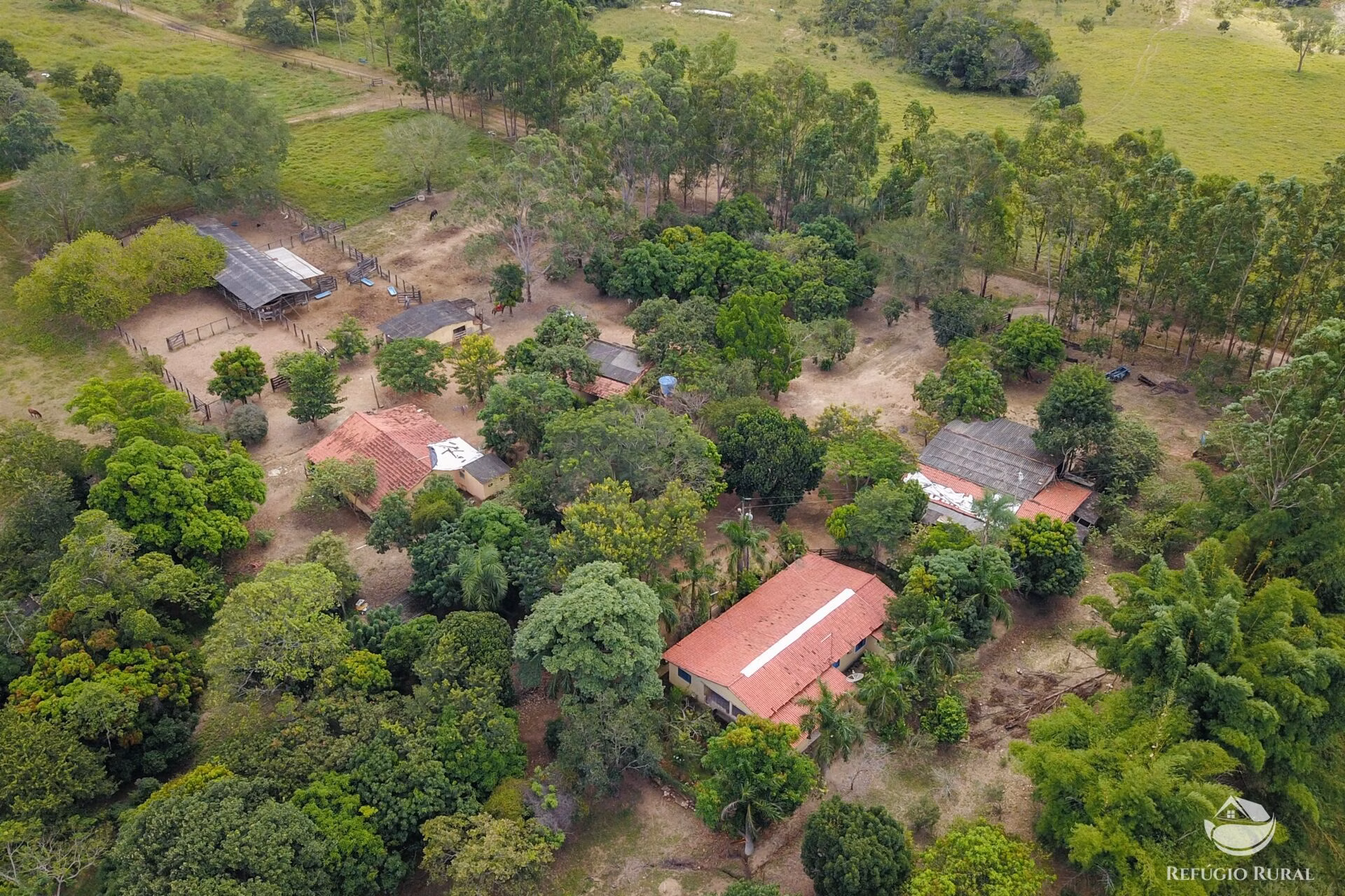 Fazenda de 1.523 ha em Padre Bernardo, GO