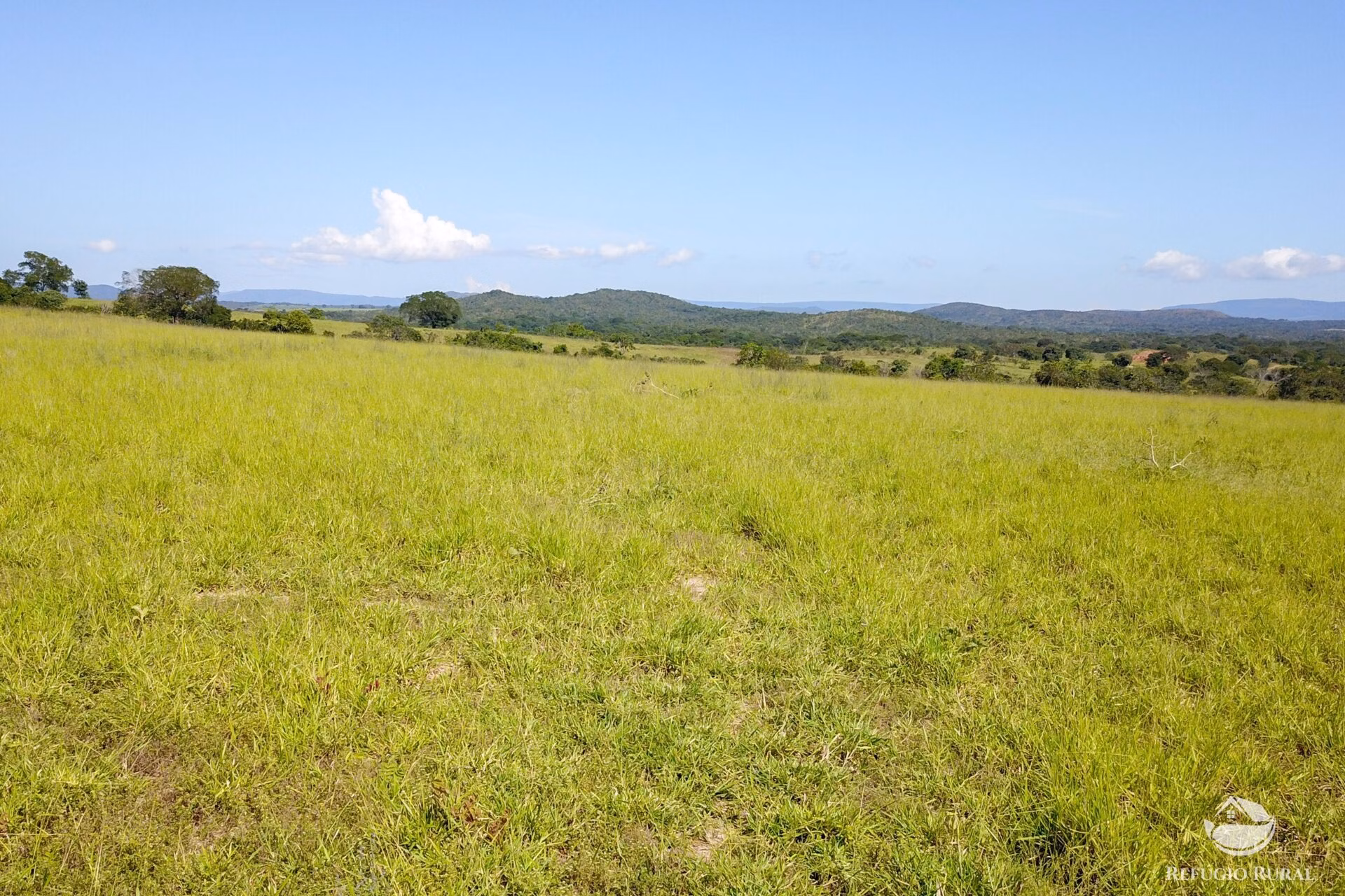 Fazenda de 1.523 ha em Padre Bernardo, GO