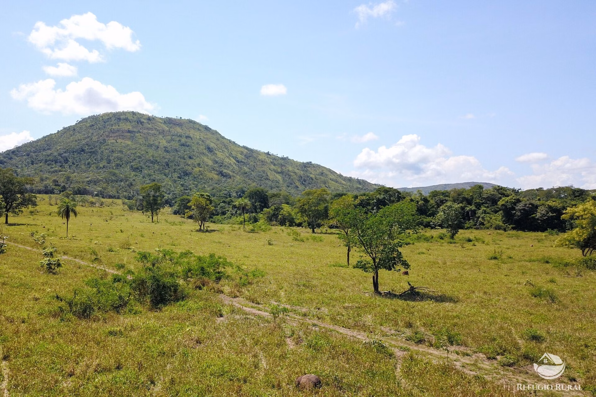 Fazenda de 1.523 ha em Padre Bernardo, GO