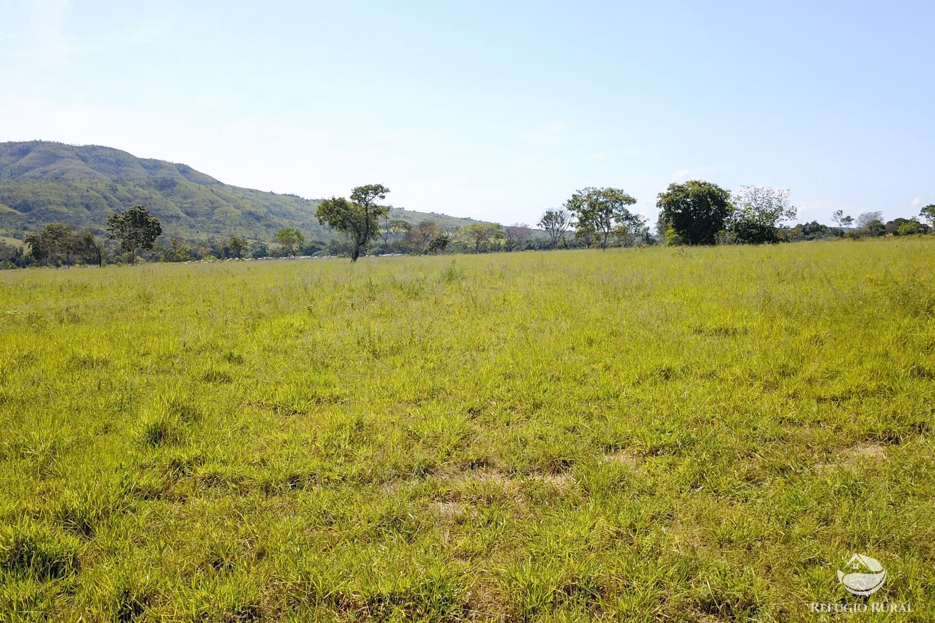 Fazenda de 1.523 ha em Padre Bernardo, GO