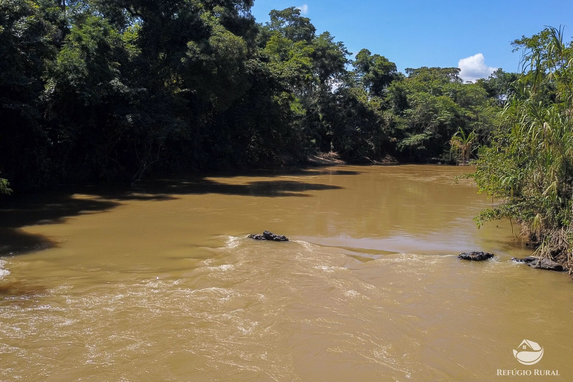 Fazenda de 1.523 ha em Padre Bernardo, GO
