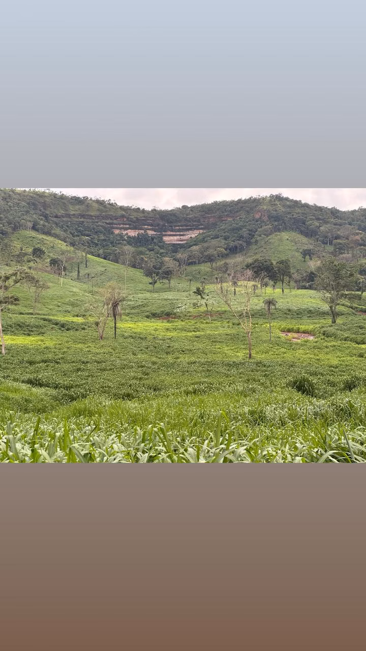 Farm of 1.465 acres in Palmas, TO, Brazil