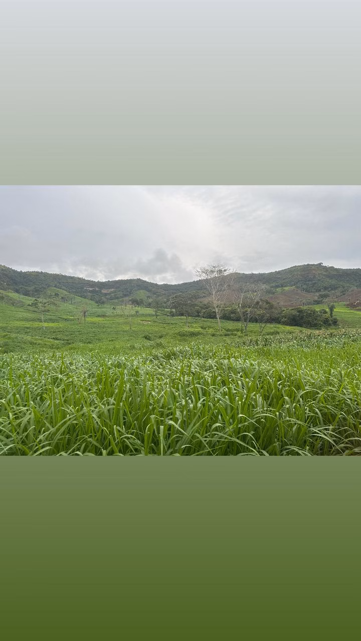 Farm of 1.465 acres in Palmas, TO, Brazil