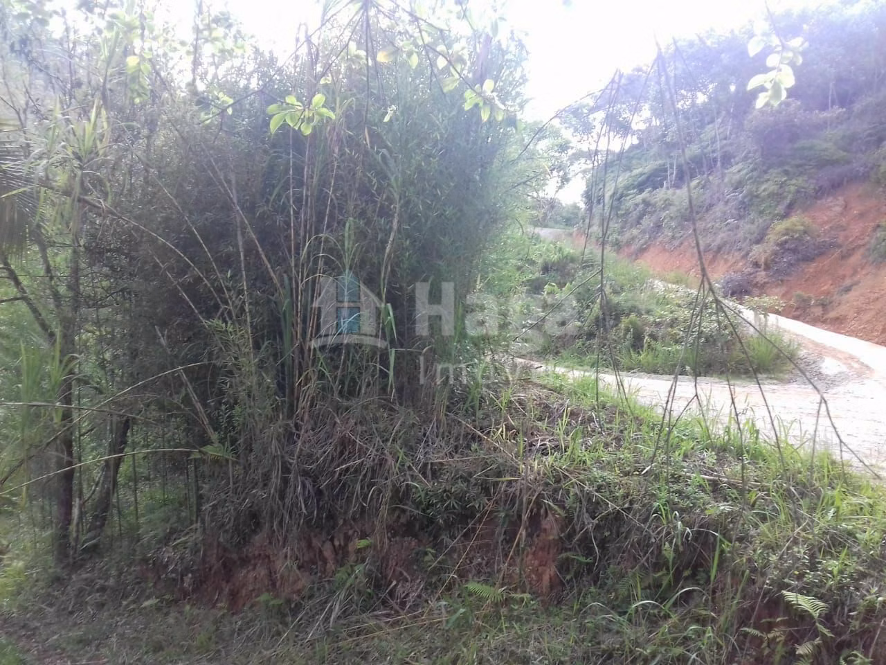 Terreno de 4.800 m² em Botuverá, SC