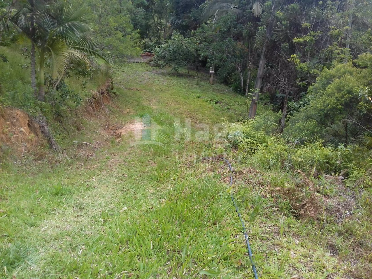 Terreno de 4.800 m² em Botuverá, SC