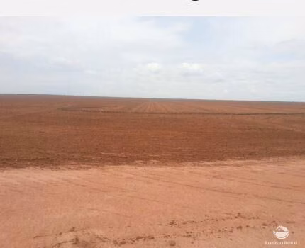 Fazenda de 13.035 ha em Cocos, BA