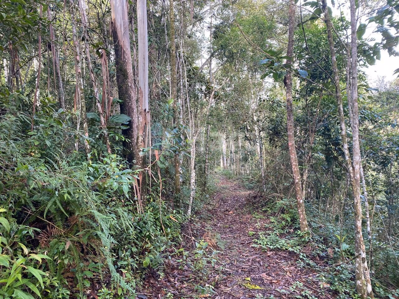 Fazenda de 7 ha em Nova Trento, SC