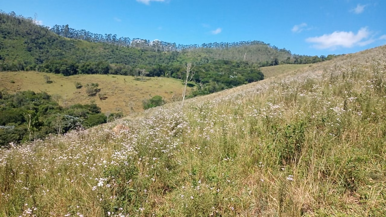 Plot of 6 acres in São José dos Campos, SP, Brazil