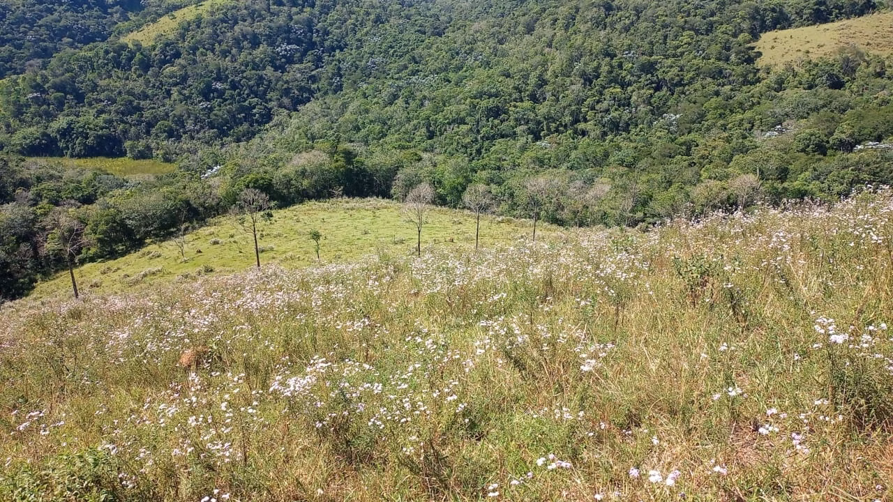 Plot of 6 acres in São José dos Campos, SP, Brazil