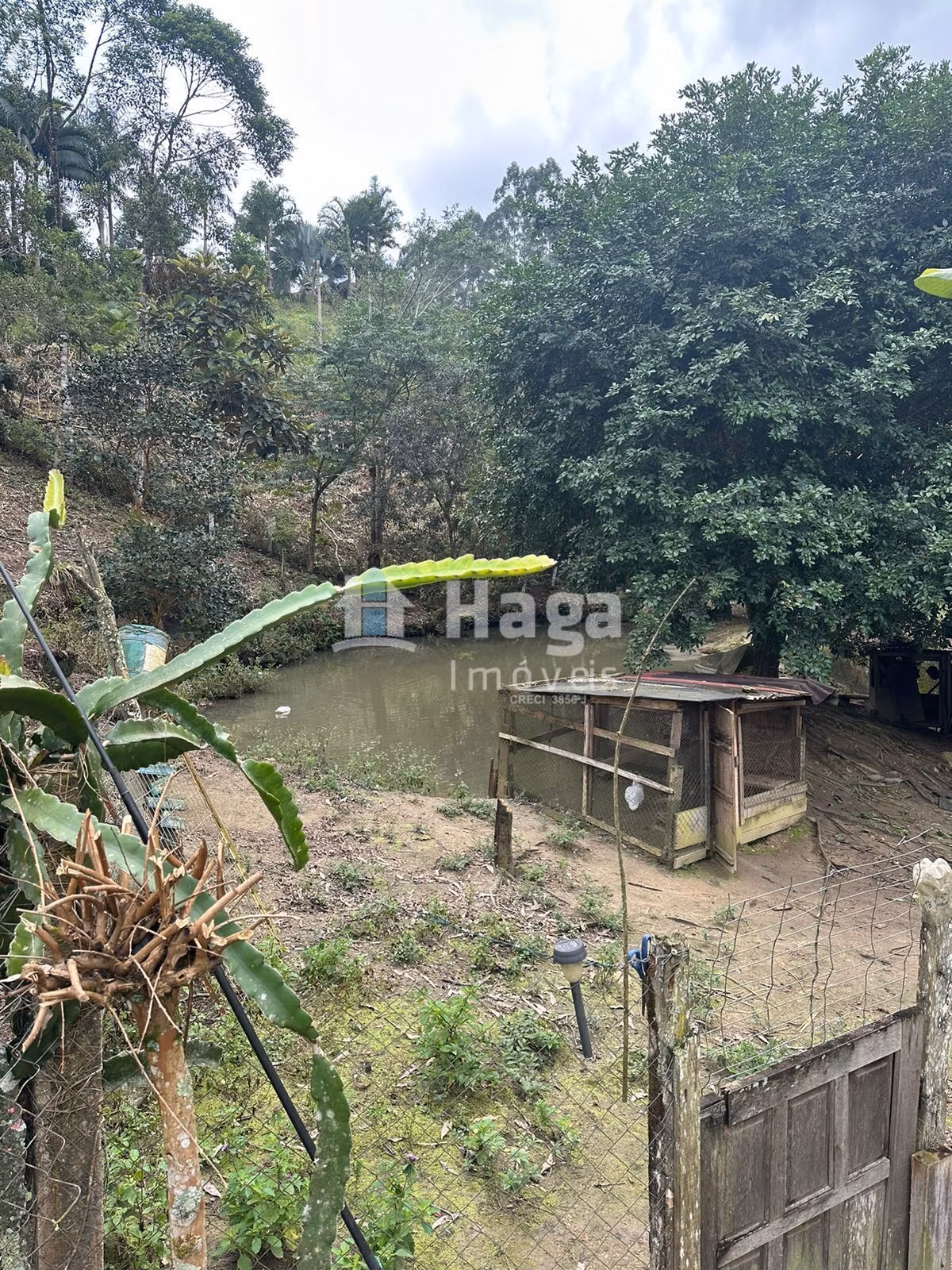 Chácara de 19 ha em Canelinha, SC