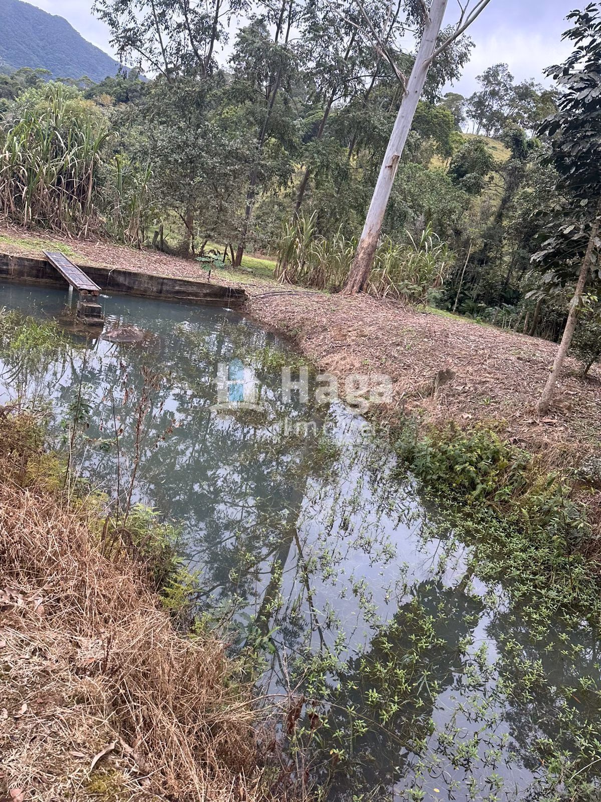 Chácara de 19 ha em Canelinha, SC