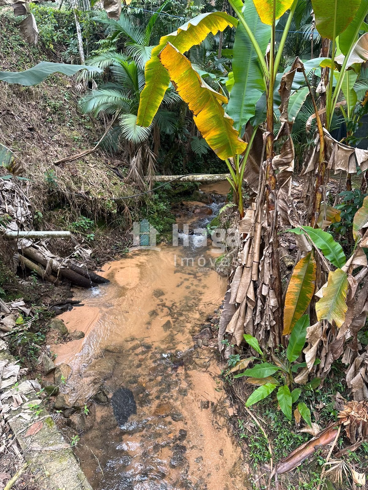 Chácara de 19 ha em Canelinha, SC
