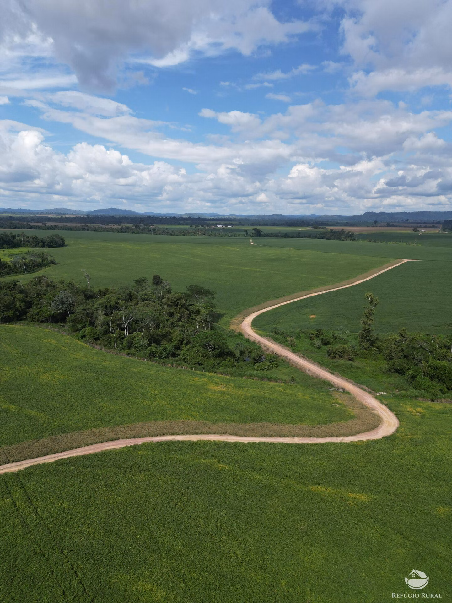 Fazenda de 4.384 ha em Novo Progresso, PA