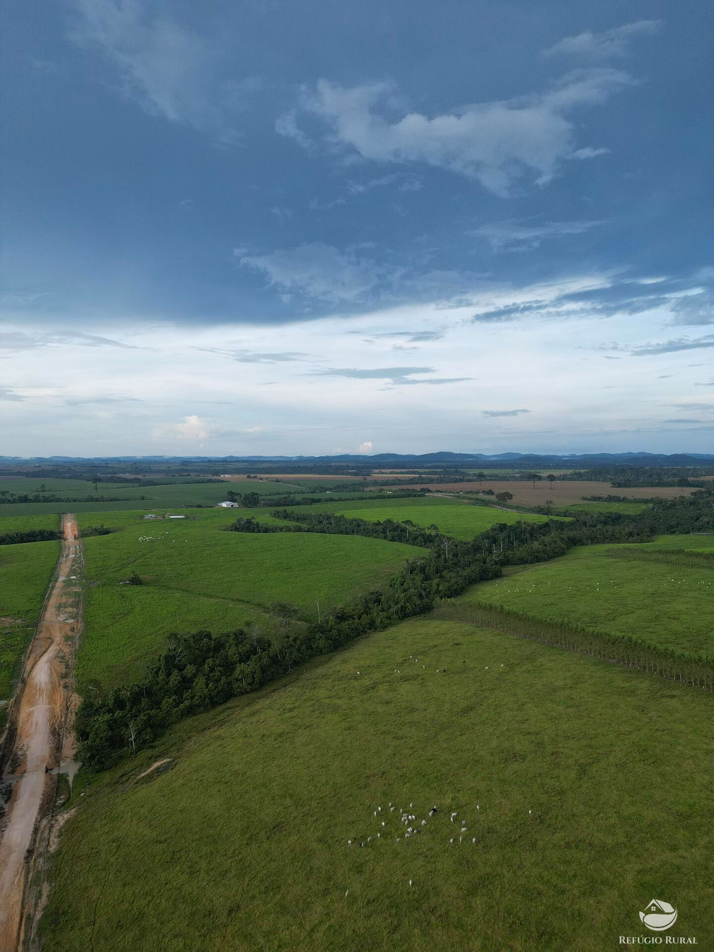 Fazenda de 4.384 ha em Novo Progresso, PA