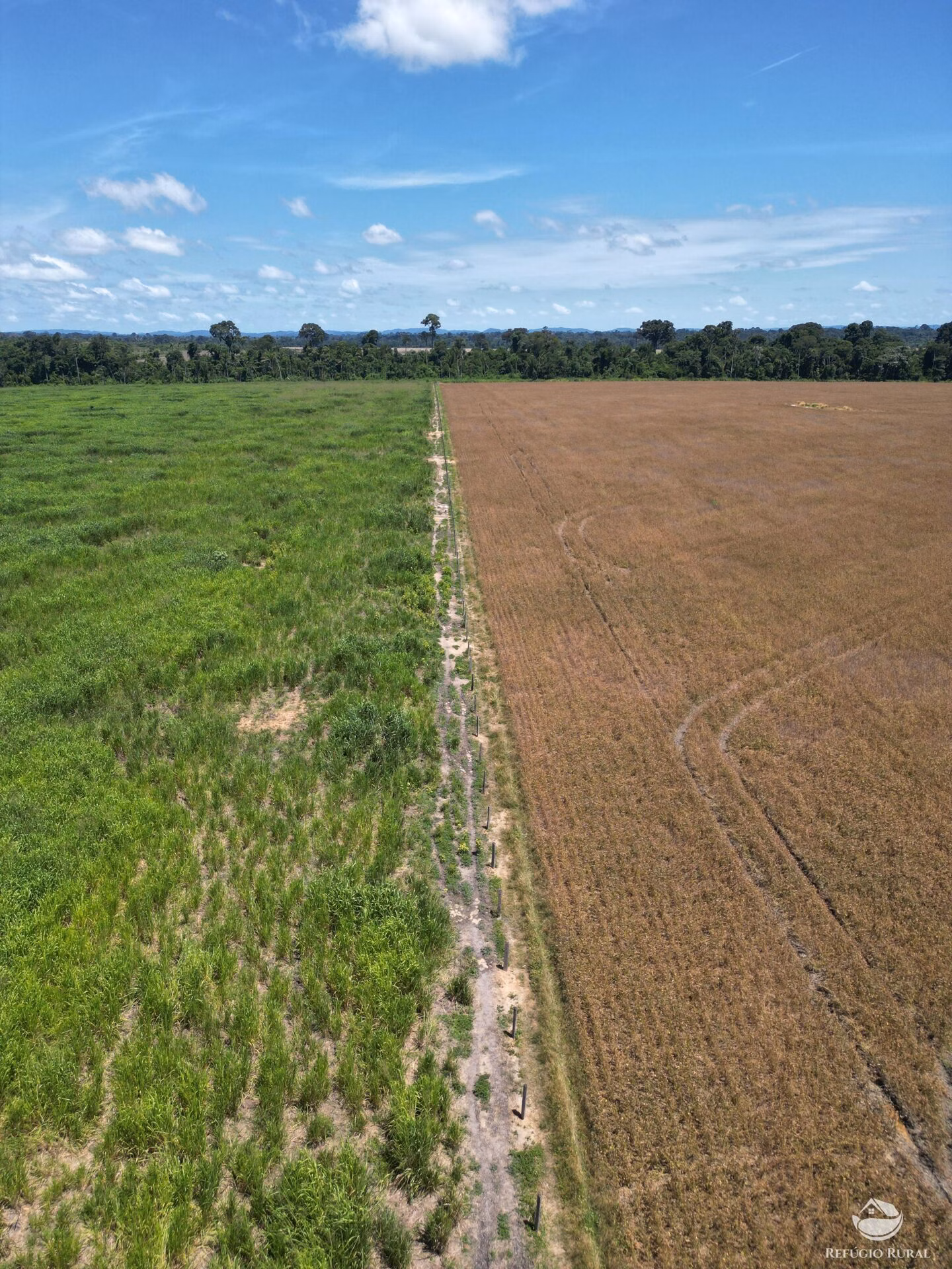 Fazenda de 4.384 ha em Novo Progresso, PA