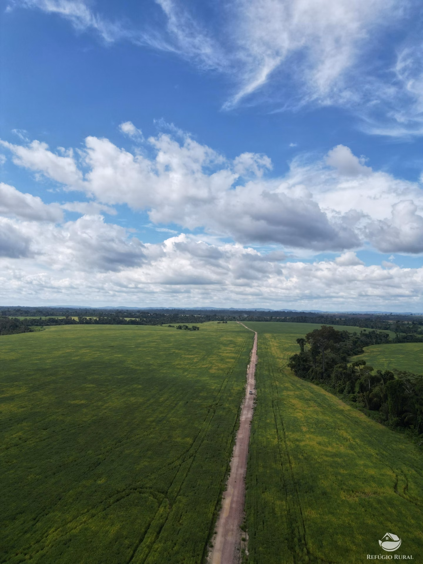 Fazenda de 4.384 ha em Novo Progresso, PA