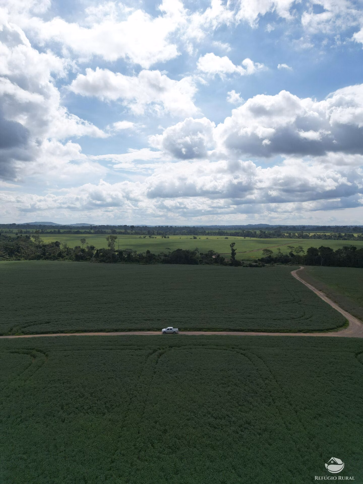 Fazenda de 4.384 ha em Novo Progresso, PA