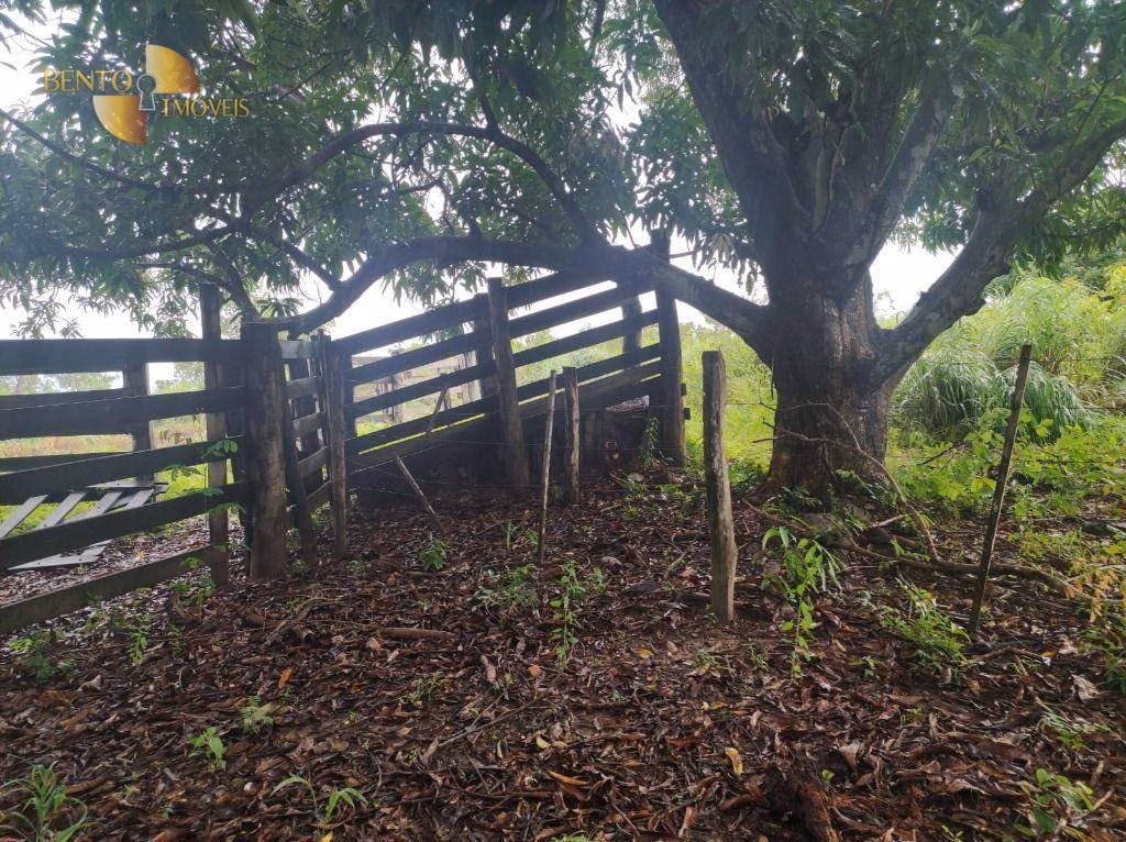 Fazenda de 580 ha em Poconé, MT