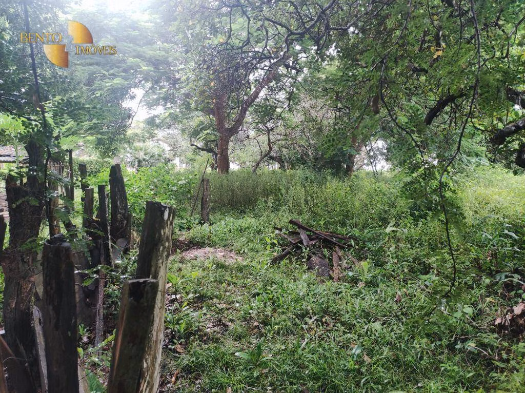 Fazenda de 580 ha em Poconé, MT