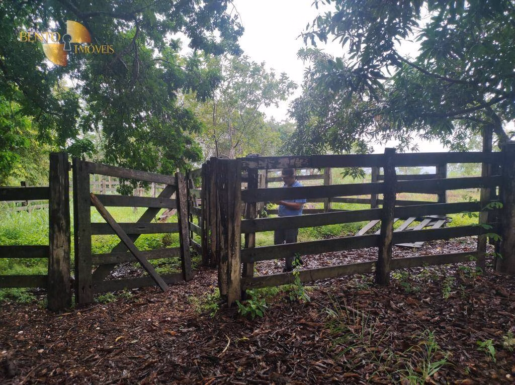 Fazenda de 580 ha em Poconé, MT