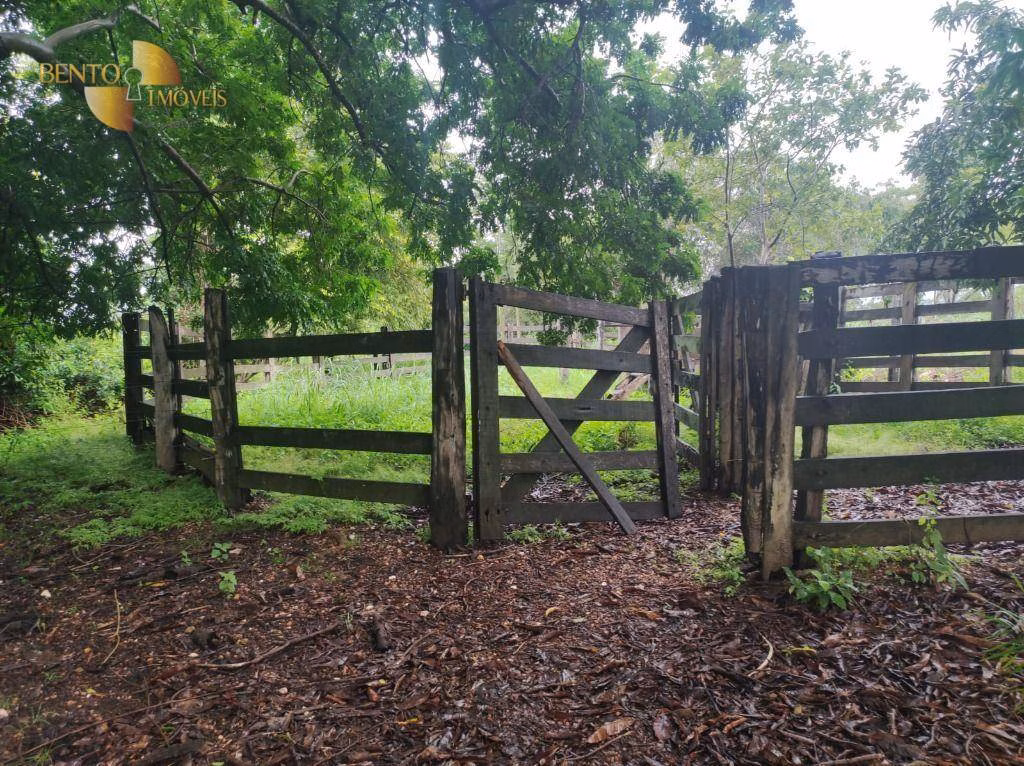 Fazenda de 580 ha em Poconé, MT