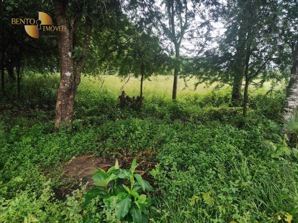 Fazenda de 580 ha em Poconé, MT