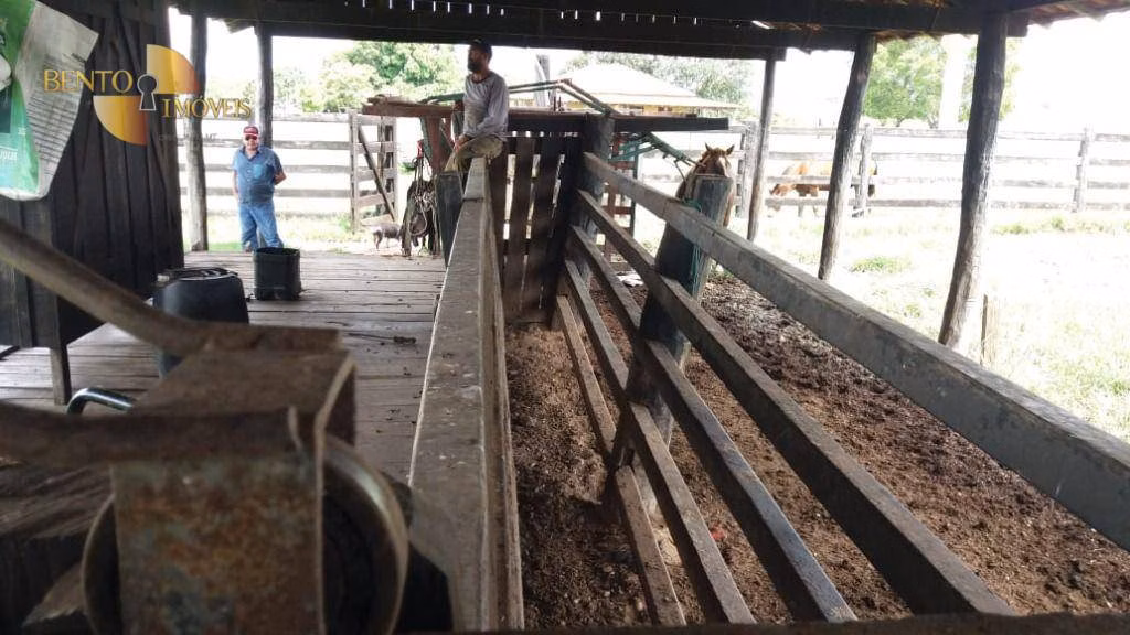 Fazenda de 1.234 ha em Nova Brasilândia, MT