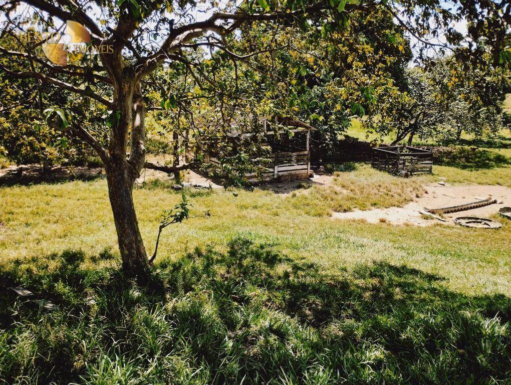 Fazenda de 1.234 ha em Nova Brasilândia, MT