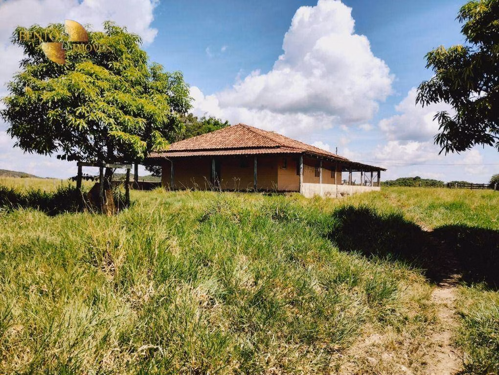 Fazenda de 1.234 ha em Nova Brasilândia, MT